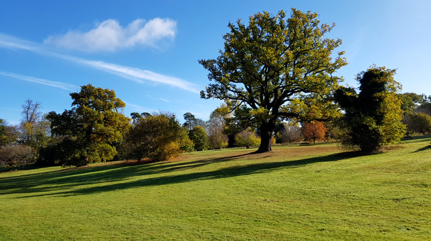 Living in Henfield: Your Honest Guide to West Sussex’s Village Gem