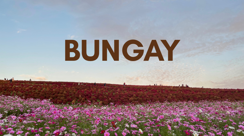 Discovering Bungay, Suffolk: More Than Just a Black Dog Legend